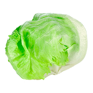 Iceberg