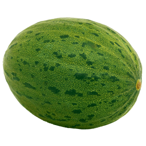 Piel de Sapo