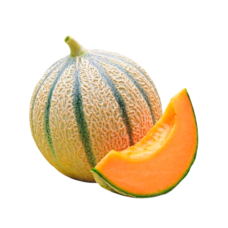 Cantaloup